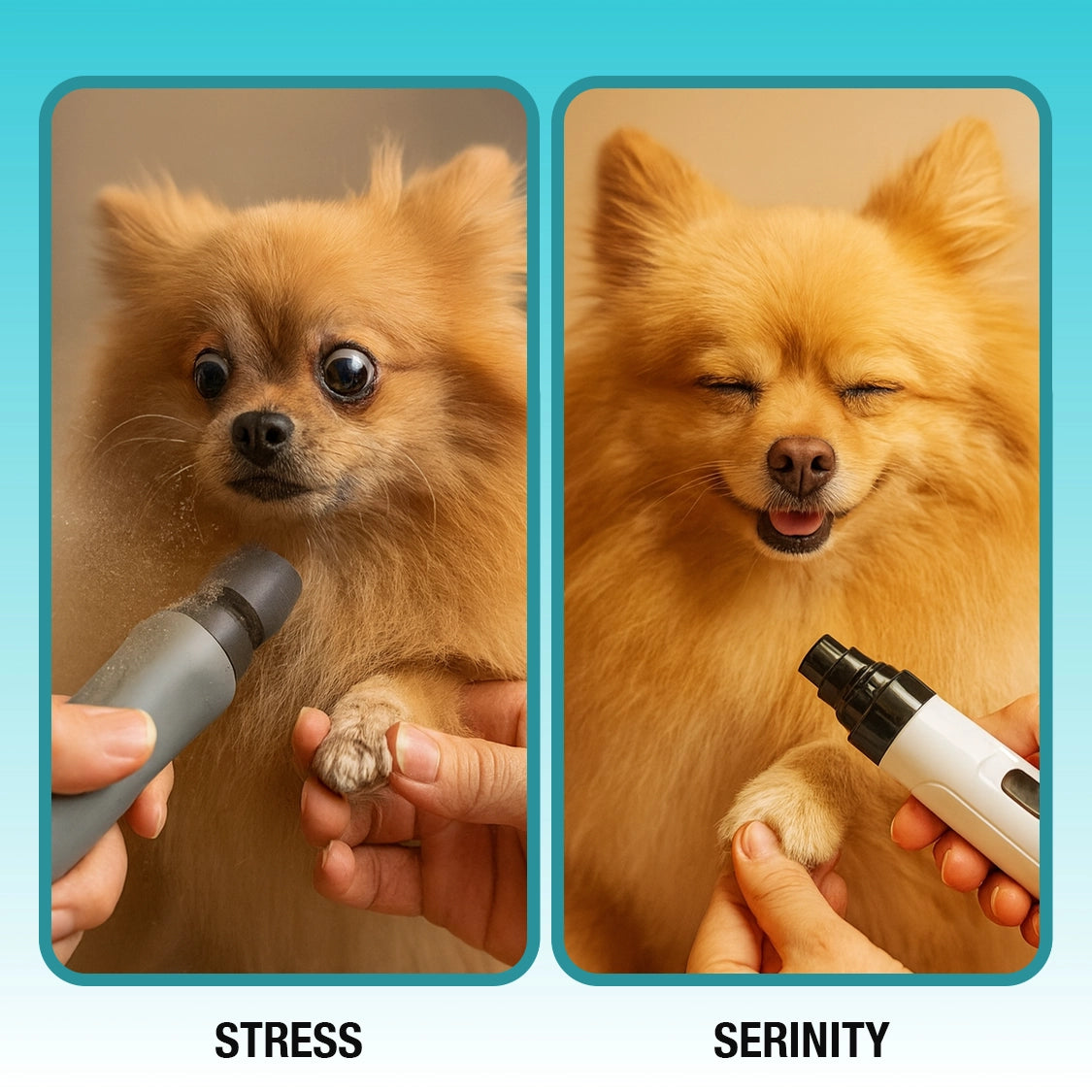 Silent Groom Pro — Quiet, Ultra Safe Nail Trims in Minutes